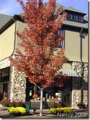 October 2009 008