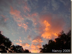 October 2009 011