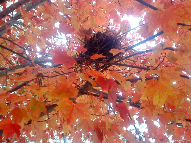 [October20090475.jpg]