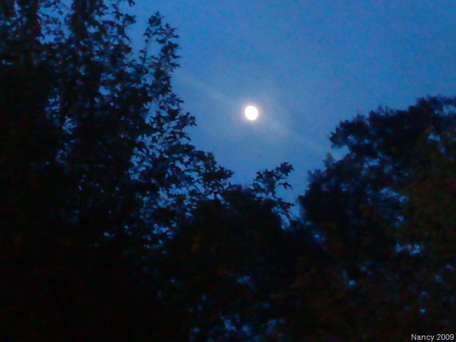 [DSC001165.jpg]