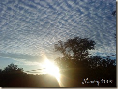 October 2009 038