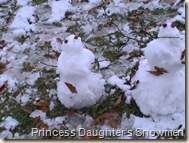 December 2009 044