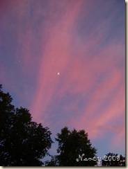 June 2009 001