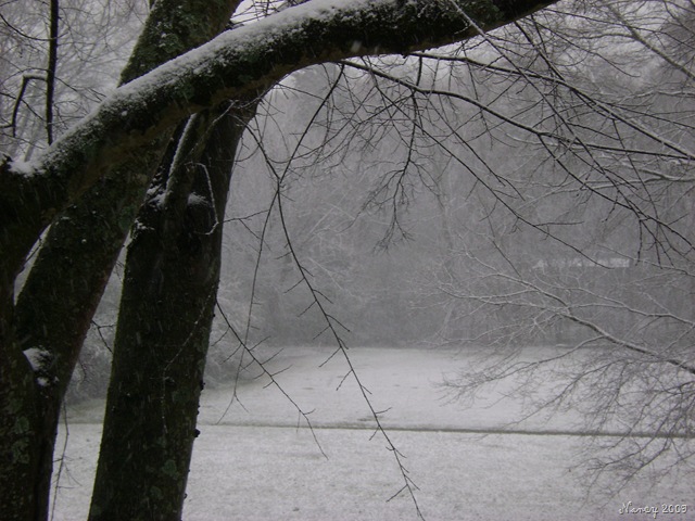 [March 2009 008[6].jpg]