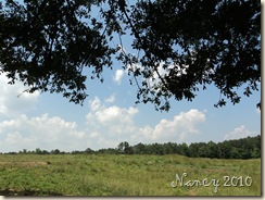 May 2010 035