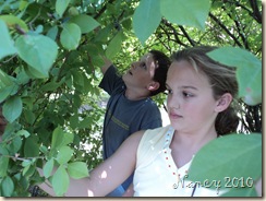 June 2010 009