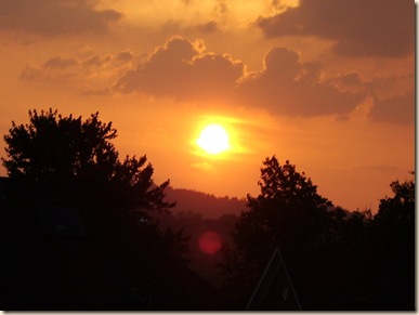 kristi speed sunset
