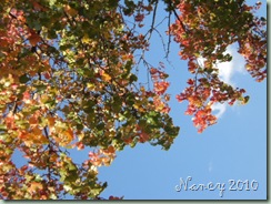 October 2010 008