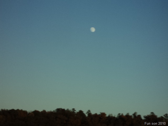 [October20100045.jpg]