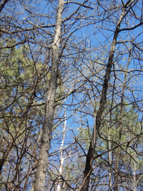[DSC012287.jpg]