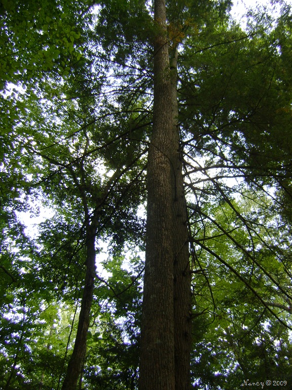 [September 2009 120[8].jpg]
