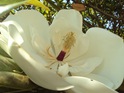 DSC03953 DSC03953
