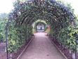 DSC04413 DSC04413