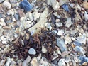 DSC03699 DSC03699