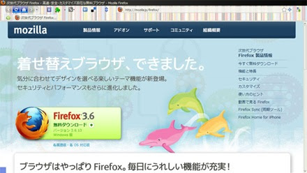 Webscrap Firefox 3 6 現在の設定 アドオン 2