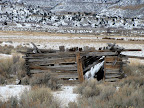 Old cabin near Bob Wright Canyon