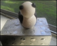 SDC11171