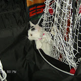 Ha ha, she's stuck!