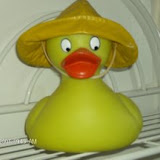 Bill, the duck in my bathroom.