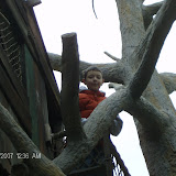 There were tons of things to climb and crawl under and swing from.