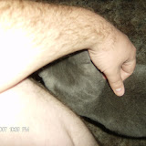 Aww!  Aren't Ken's arms hairy??
