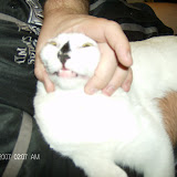 This looks so mean but she never minds.