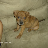 Isn't his little face adorable?!