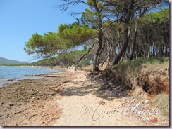 IMG_1215 IMG_1215