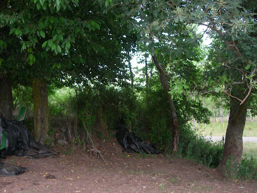 La Mata de Curue�o (Le�n).