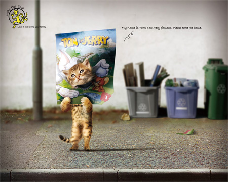 Lucky Cat Club Advertisement Lucky Cat Club Advertisement
