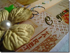 IMG_7720 IMG_7720