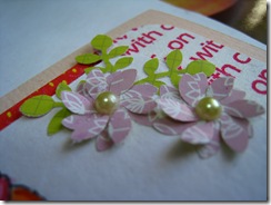 IMG_6763 IMG_6763