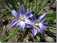 IMG_6982 IMG_6982