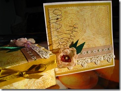 IMG_7876 IMG_7876