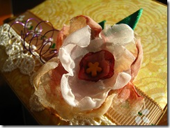 IMG_7873 IMG_7873