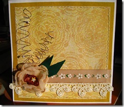 IMG_7877 IMG_7877