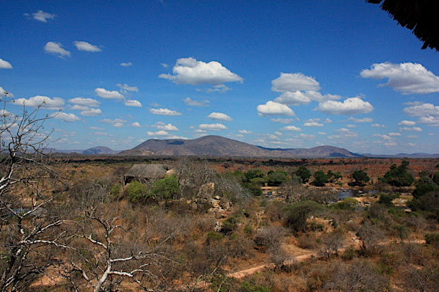 Ruaha River Lodge 1