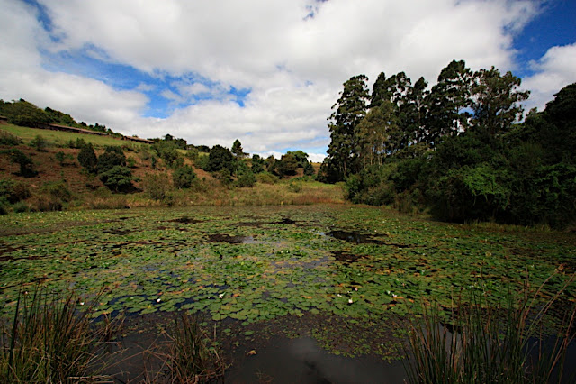 Mufindi highland lodge 5