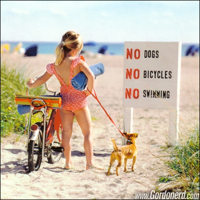 nodogsnobicyclesnoswimming Proibições decepcionantes