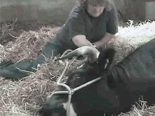 omfg Coletânea de GIFs (7)