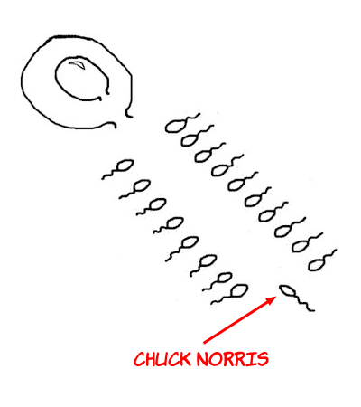concepcaodechucknorris Como Chuck Norris foi concebido