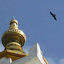 IMG_1028-1000.jpg