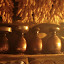 Nepal 565-1000.jpg