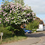 Debden & Wimbish 007.jpg