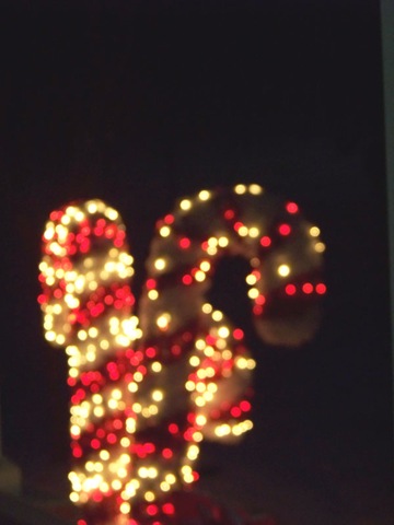 [Holiday 29[3].jpg]