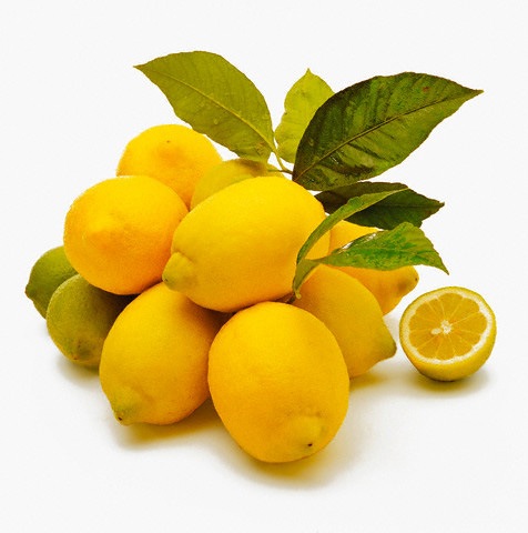 [Lemon  01[8].jpg]