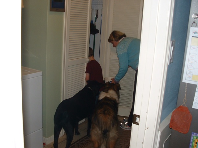 [20100130_VisitingPony04[3].jpg]