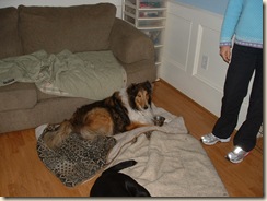20100130_VisitingPony06