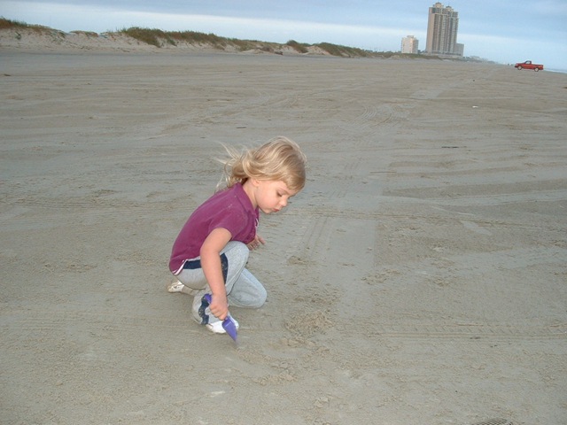 [20091119_StewartBeach15[5].jpg]