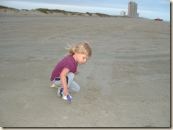 20091119_StewartBeach15